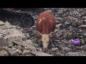 Smart Waste Management Application | My One Earth