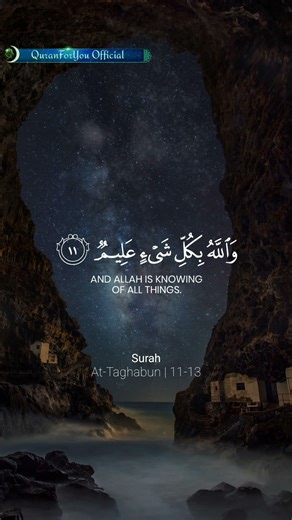 Trust Allah in Every Situation 🫀 Surah At-Taghabun⚡️#taghabun #shorts #shortsfeed #ytshorts