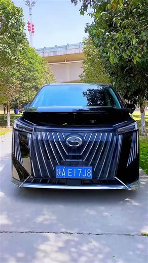 Car radiator protection net, insect-proof, lint-proof, sand and gravel-proof