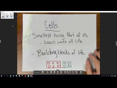 Introduction to cells, 6th grade science