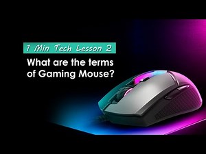 What are the terms of Gaming Mouse? | Gaming Gear | MSI