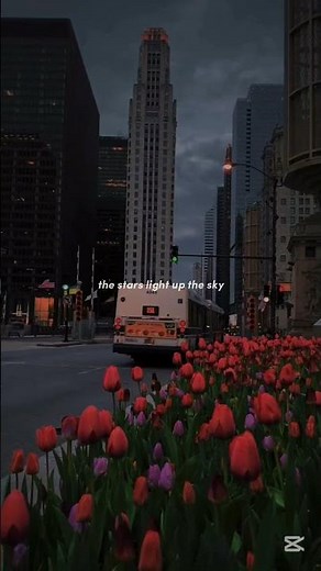 Alan Walker - Unity (lyrics) | everyoneislonely sometimes |Aesthetic #unity#alanwalker