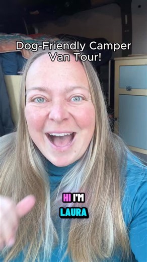 1.6K views · 35 reactions | Traveling cross-country in a van (with...