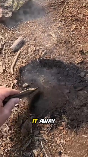 Underground Root Fires 🤯 #shorts #viral #reels | ManiaX