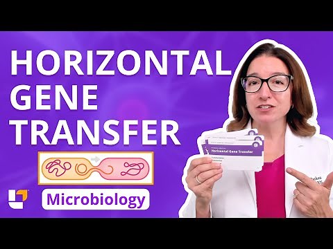 Horizontal Gene Transfer: Microbio Genetics Pre-Nursing / Med & Health Field Careers | ‪@LevelUpRN‬