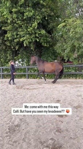 When all your horse wants to do is Levade 😂 See the description for what is actually happening here