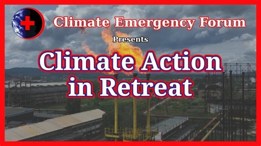 Climate Crisis Escalates Amid Weakening Activism & Media Coverage | LUIZ ANTONIO GOMES, MSc, MBA posted on the topic | LinkedIn