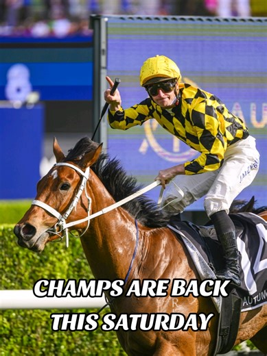 Exciting Horse Racing Action Returns This Saturday