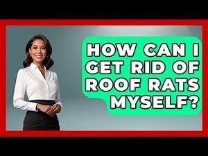 How Can I Get Rid Of Roof Rats Myself? - Insects and Invaders