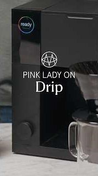 Pink Lady on DRIP COFFEE: One Coffee, 5 Brew Methods Series