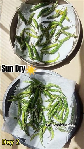 Homemade Dry Green Chilli Recipe | 7 Days Sun-Dried Chilli | Easy Preserving Method #DryChilli