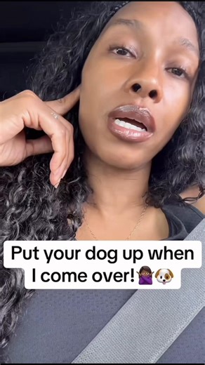 Understanding Labradoodles: Fun Facts and Care Tips