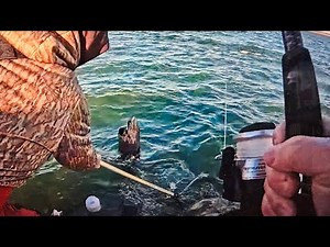 I Caught a MONSTER Fish in Just 1 Day Santee Catfishing