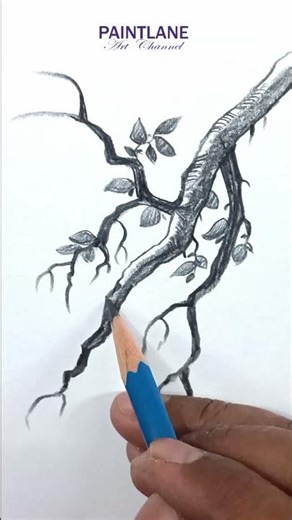 Pencil Shading Tree Branch with Leaves #shorts #art #pencilshading