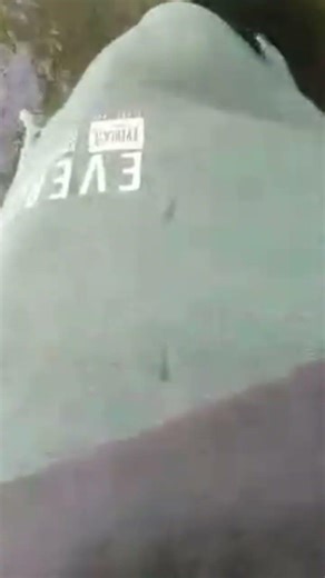 little Murray cod #murraycod