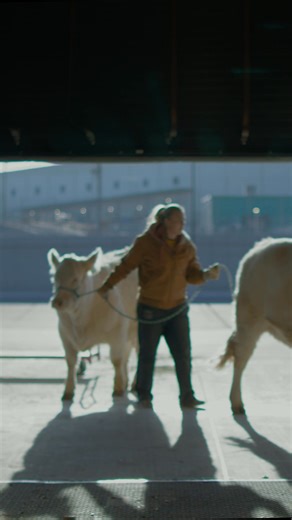 Our team at Transwest had an unforgettable experience at the National Western Stock Show, celebrating the spirit of western life and community. Thank you to all our valued clients and partners for a memorable event. Here’s to many more shared memories on the road ahead. See you next year! | Transwest Truck Trailer RV