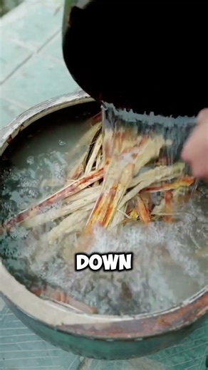 Ancient Paper Making From Tree Bark 🌳📜 Oldest Method Ever!