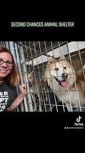 Jordan’s Eay California Tour: Second Chances Animal Rescue, Selma, California. $5,000 raised in 4 hours | Jordan's Way