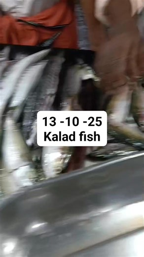 Kalad fish | Haneefa Kalathil