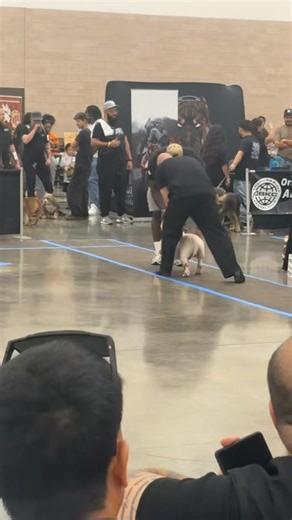 Jeremy Johnson on Reels