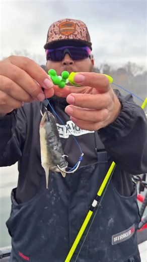 Stephen Fultz on Instagram: "Using the double hook takedown rigs to give these fish multiple options and catch more fish 🎣"