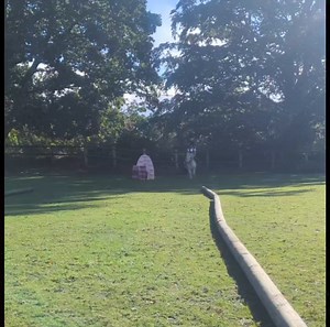 43K views · 1.4K reactions | A mixed bag of tricks in today's riding...