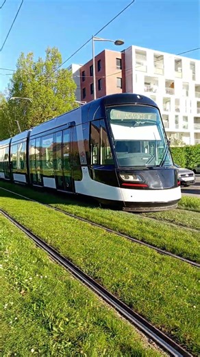 Alstom Citadis 3.1 405 n°4001 ligne A Sans Voyageurs et Alstom Citadis NG2.2 n°3039 ligne D