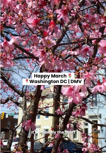 Pop-ups, farmers markets, free things to do… & we’re posting them ALL as we find them! The good stuff goes fast, so check out our other posts & follow along for the real-time updates on events this spring in the DMV