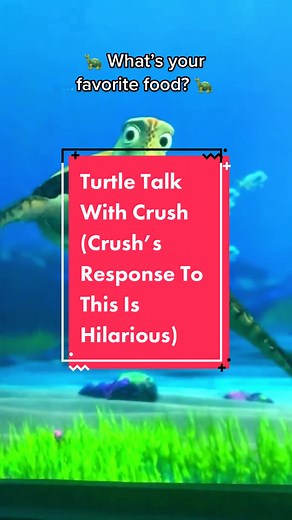 Turtle Talk With Crush: Hilarious Food Confession