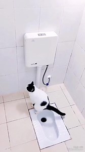 Buona notte 😎😎👍 | Pretty things