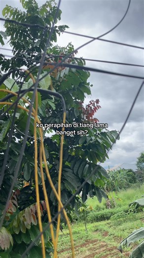 Safety First: Internet Installation Challenges