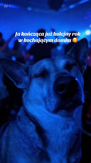 Czego i życzę wszystkim Wam PsyJaciele🤗 ciepełka, miłości i pełnych brzuszków. —— Ig: wega_wonderdog #życiepoadopcji #wegawonderdog #pies #CapCut @Weronika @Dominik