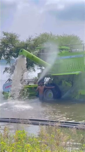 reaper cutting gehun machine #automobile #farming #kisanaandoln #farmerstruggle #agriculture #reels