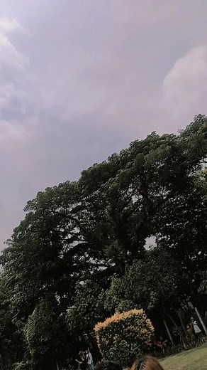 Outdoor Duo: Sign Language Connection in Nature