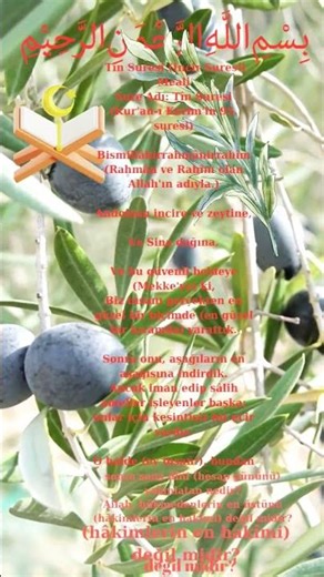 Tîn Suresi (İncir Suresi) Meali#Rızık#bereket#mükafatquran#namaz#islam#ibadet#tevekkül#takva#ölüm