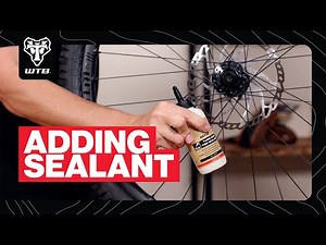 How to put sealant in tubeless mtb tires | #tubelesstires #mtb #sealant