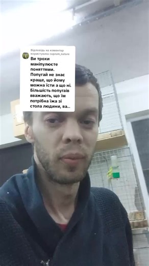 Відповідь користувачу @cuprum_nature #папуга #птахівництво #декоративнептахівництво #розведенняпапуг #птахи