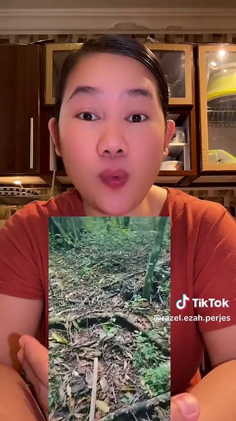 Understanding the KinPanama Alien Phenomenon