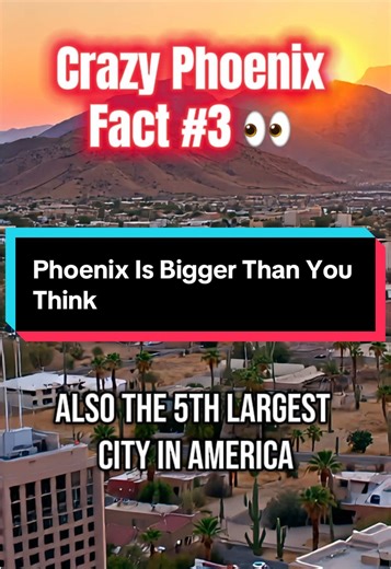 Crazy Phoenix Fact 👀 Phoenix isn’t just Arizona’s capital… it’s actually the largest state capital in the United States and the 5th largest city in America. Most state capitals are smaller cities — Phoenix is a full major metro in the middle of the desert. 🌵 Did you know this about the Valley? #phoenixarizona #azliving #didyouknow? #valleyofthesun #arizonastate