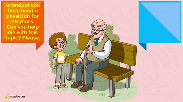 Cell Locomotion - Introduction