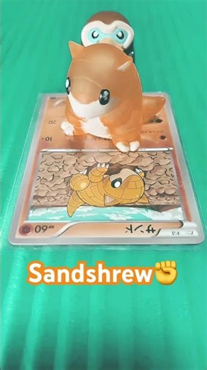 Sandshrew✊