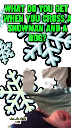 what a laughter to start the week! #jokes #humor