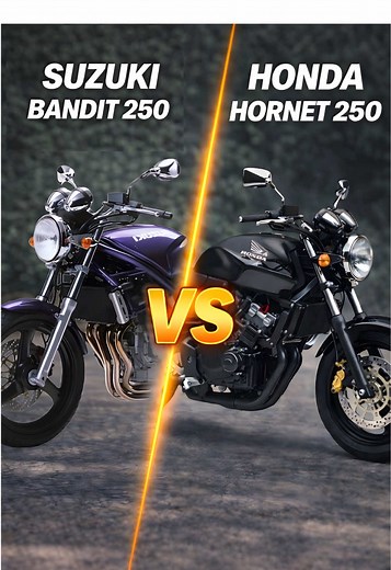 Honda Hornet 250 vs Suzuki Bandit V 250 Comparison
