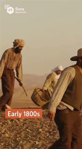 How Israel became the most advanced country in Agriculture... #agriculture #israel #farm