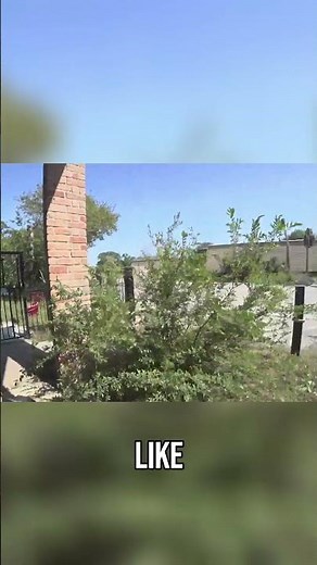 Online Identity Theft: Why Are You Getting So Many Spam Calls?