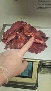 🦌Breaking Down Two Antelope Forequarters🔪