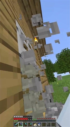 Minecraft Dolphin is not letting me open the iron door #minecraftshorts #minecraft