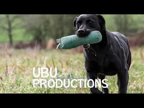 Ubu Productions logo Package (1982-2002) (2023) Present