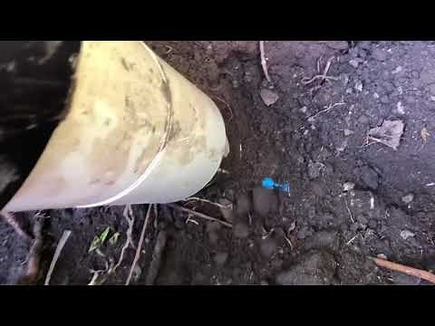 Replacing a lead water main to MDPE