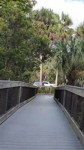 ASMR Hiking - Pure Nature Sounds (No Music, No Talking)